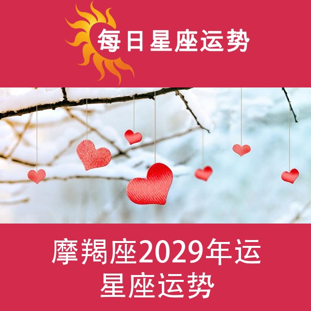 摩羯座 2029星座年运