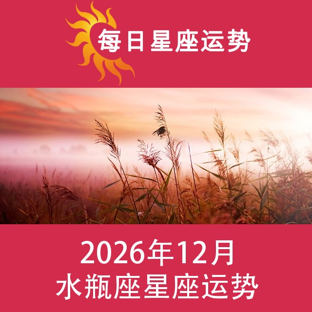 水瓶座 2026年12星座月运