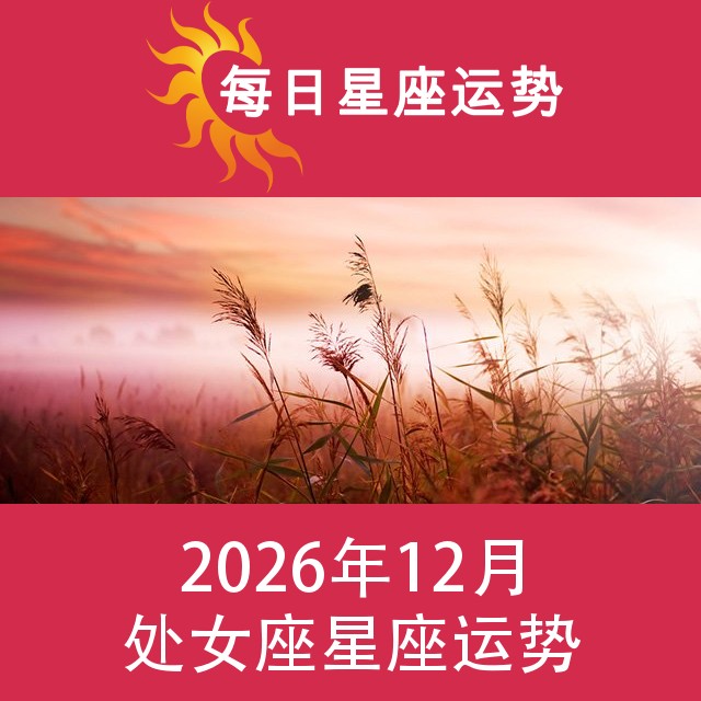 处女座 2026年12星座月运