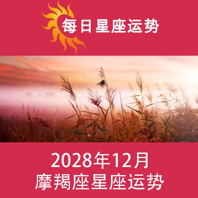 摩羯座 2028年12星座月运