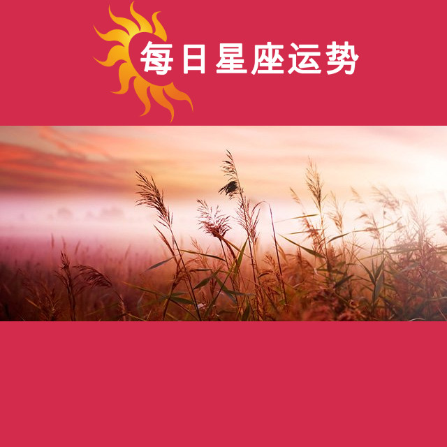 金牛座 2029年12月星座月运