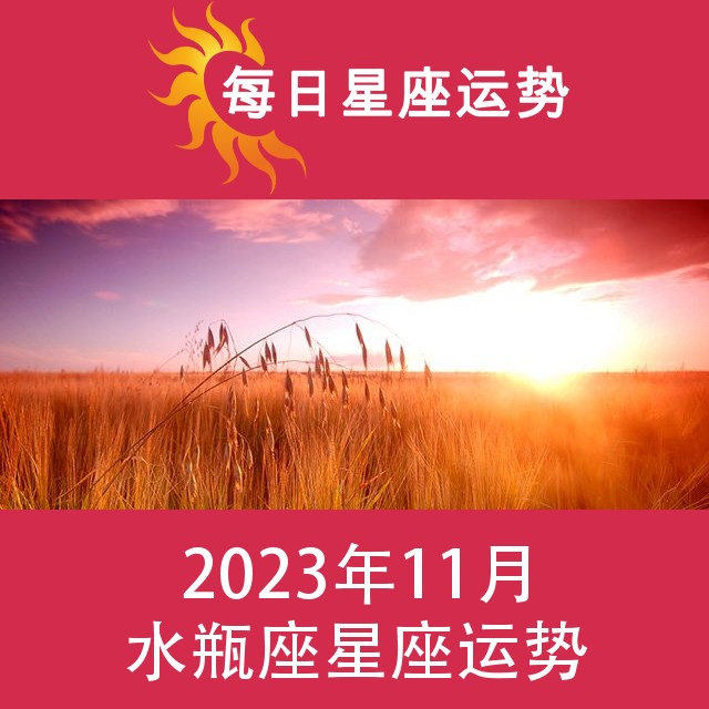 水瓶座 2023年11星座月运