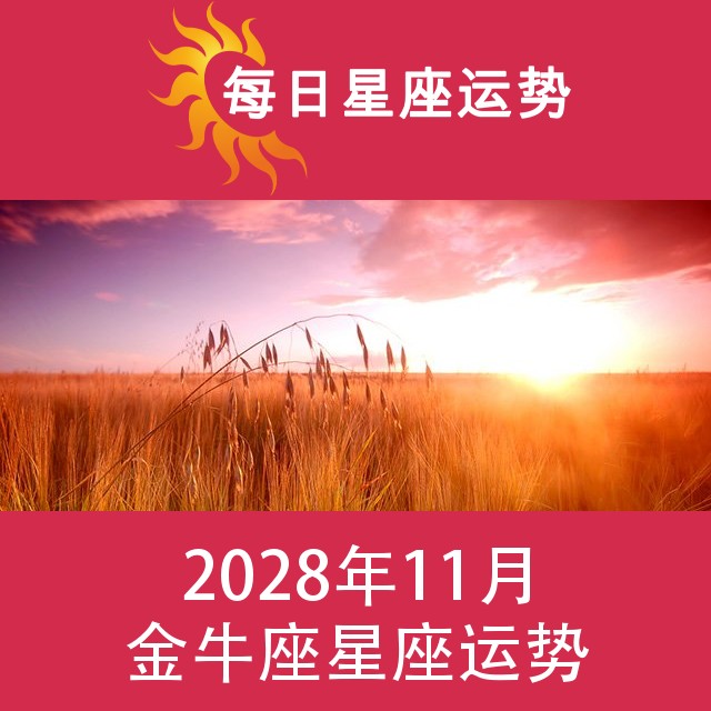 金牛座 2028年11星座月运