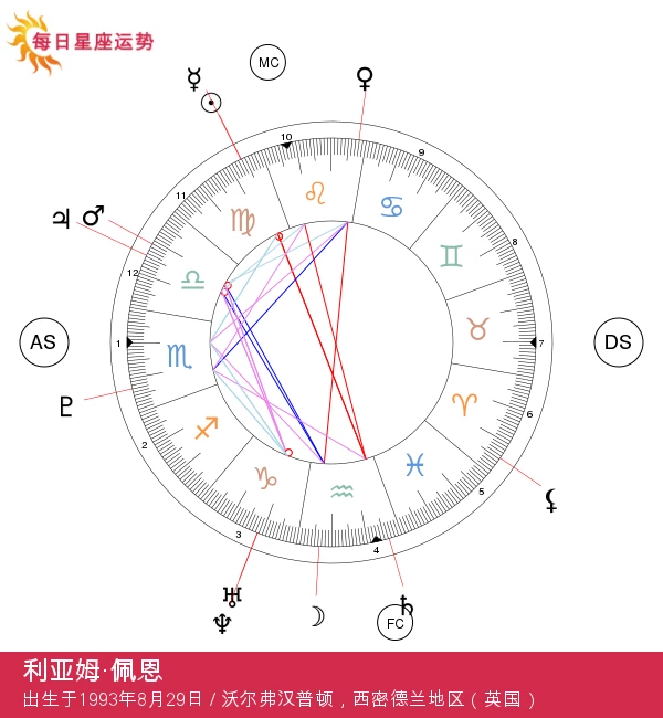 利亚姆·佩恩：探索他的处女座特质定义