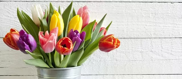 2026年4月14日星期二运势预测