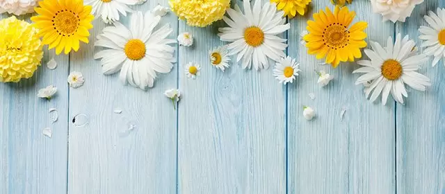 2026年4月19日星期日运势预测